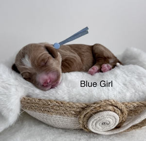 Blue girl